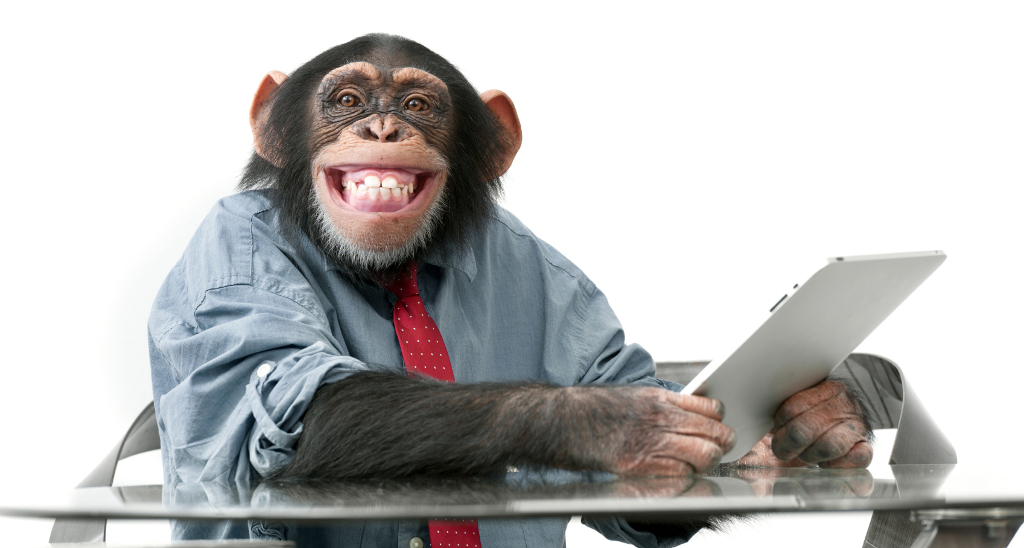 Humoristisk bild av en glad chimpans i skjorta och slips som beställt nyckelband.